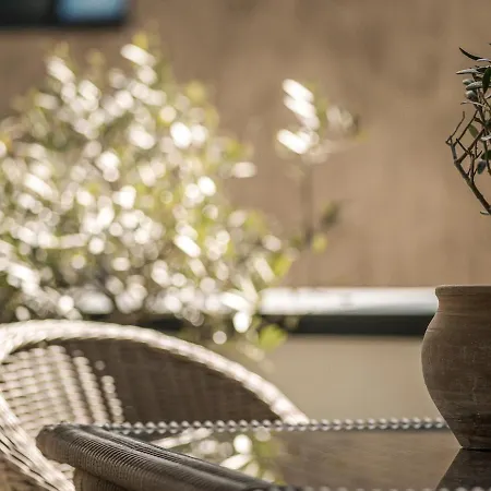 Apartment Monas Mayrhofen