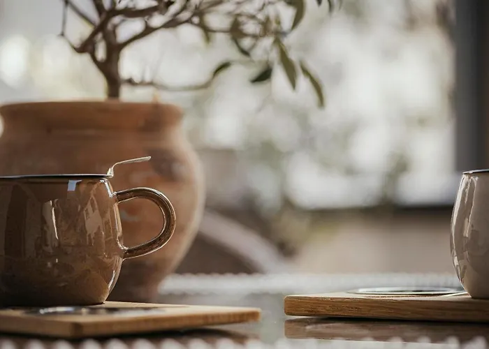 Διαμέρισμα Monas