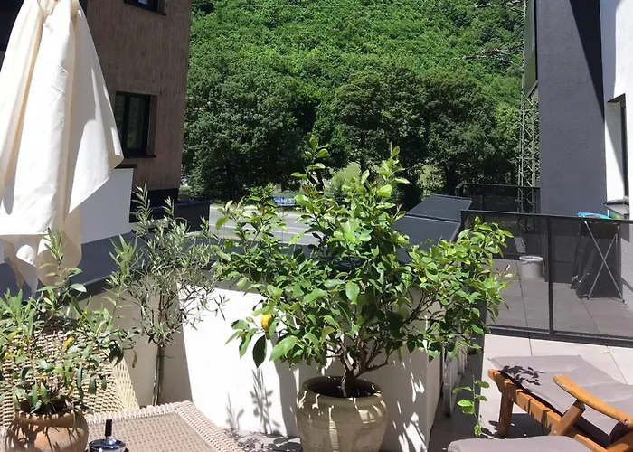 Monas * 메이른호픈