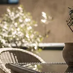 Apartment Monas Mayrhofen