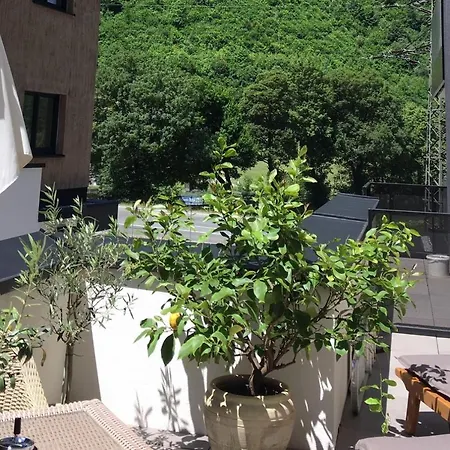 Monas * Майргофен